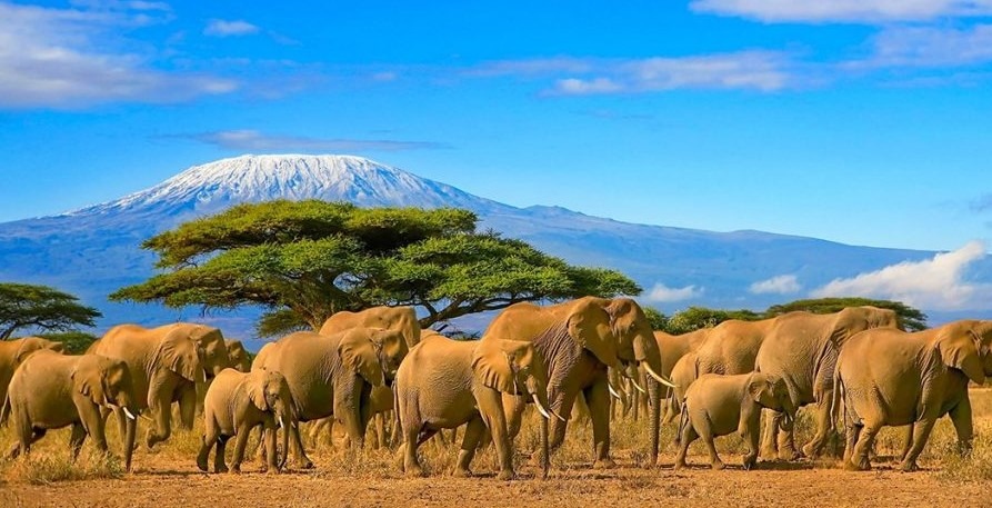 Zanzibar Beach and Safari Vacation