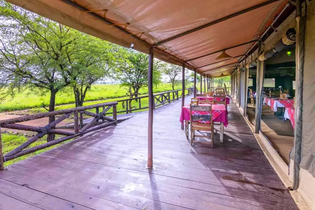 central serengeti