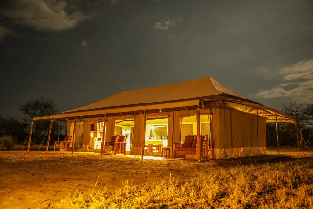 into the wild camps