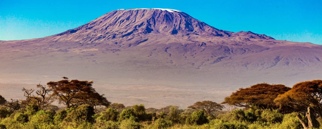 kilimanjaro view