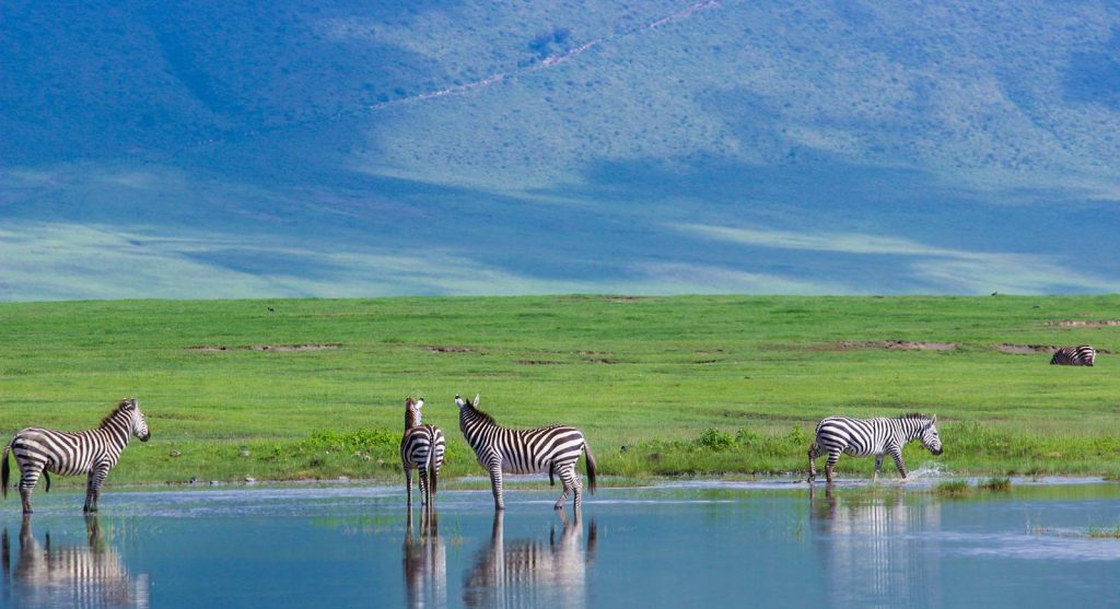 ngorongoro crater (1)