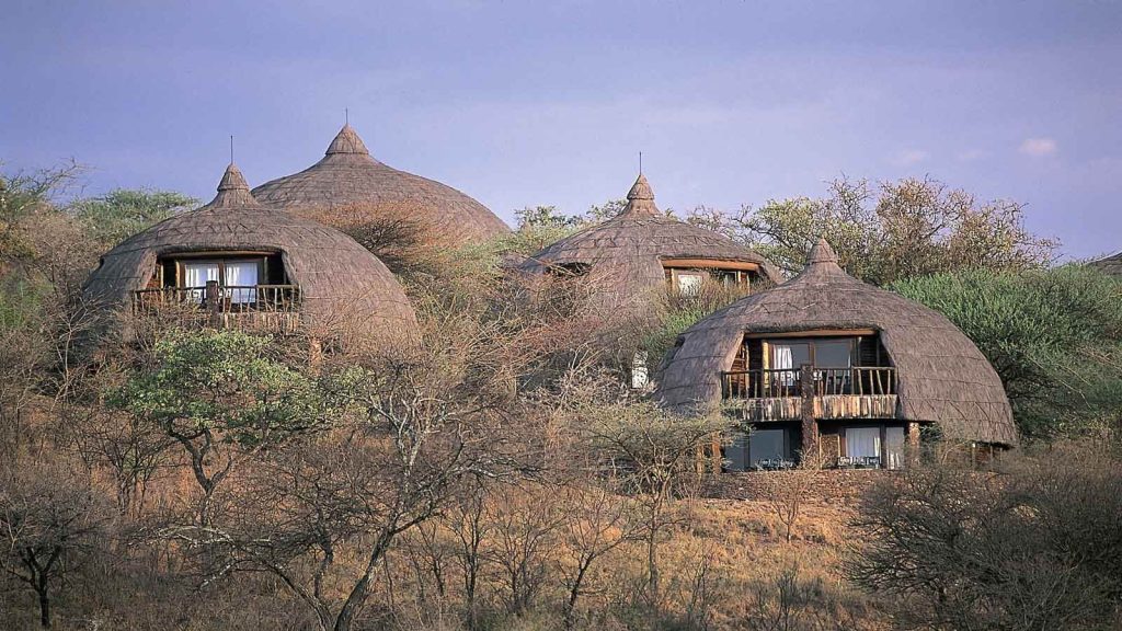 serengeti serena=