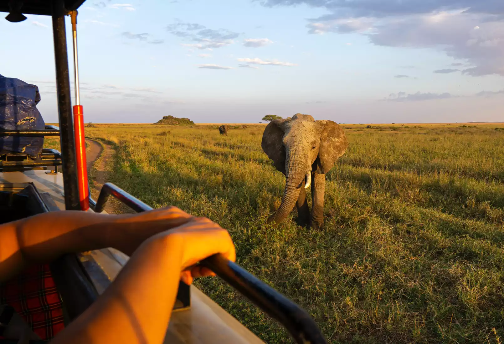Beach Safari Destination Detail Tarangire National Park Left Image 1