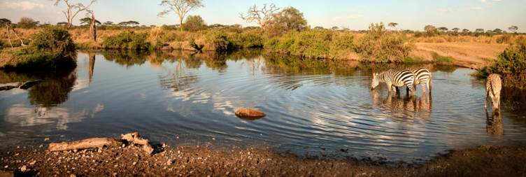 Central Serengeti National Park 011