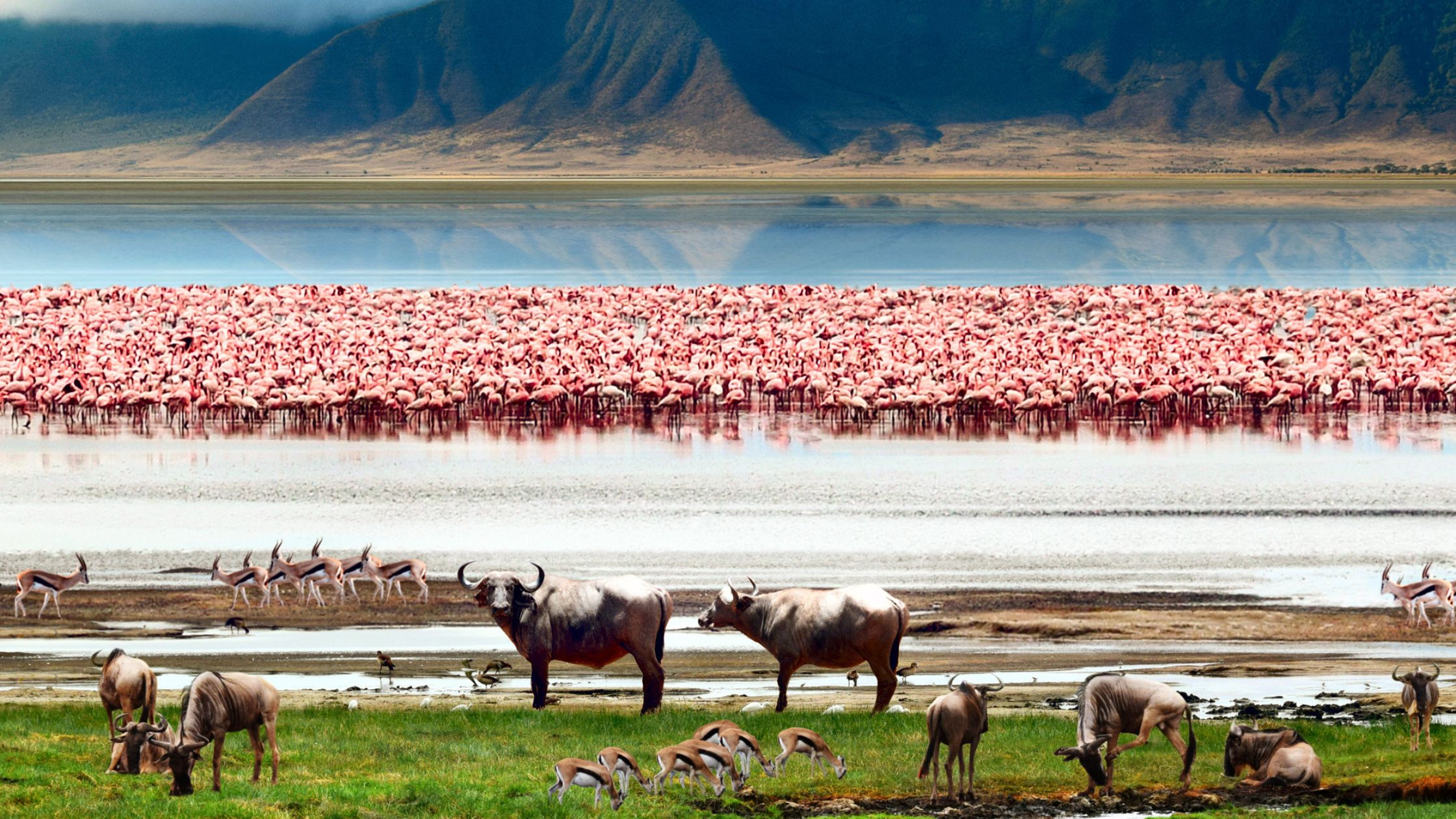 Ngorongoro Crater in Tanzania