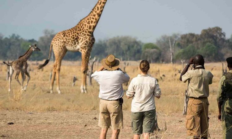 Walking Safari Arusha 750x450