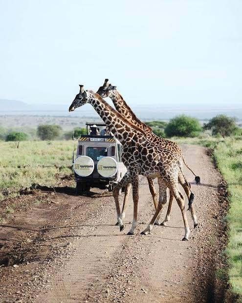 WhatsApp Image 2025 08 30 at 11.16.47 d4630edc