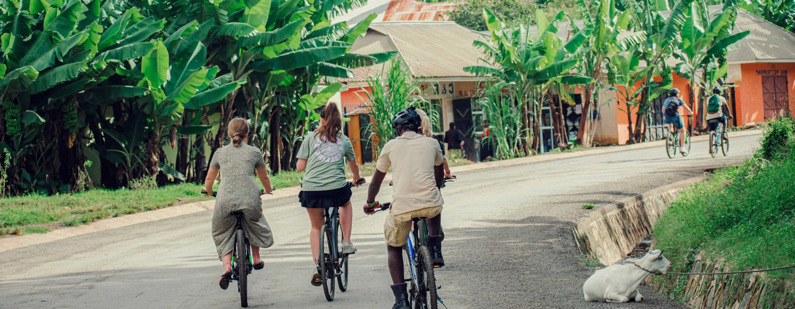 mountainbike 3 scaled