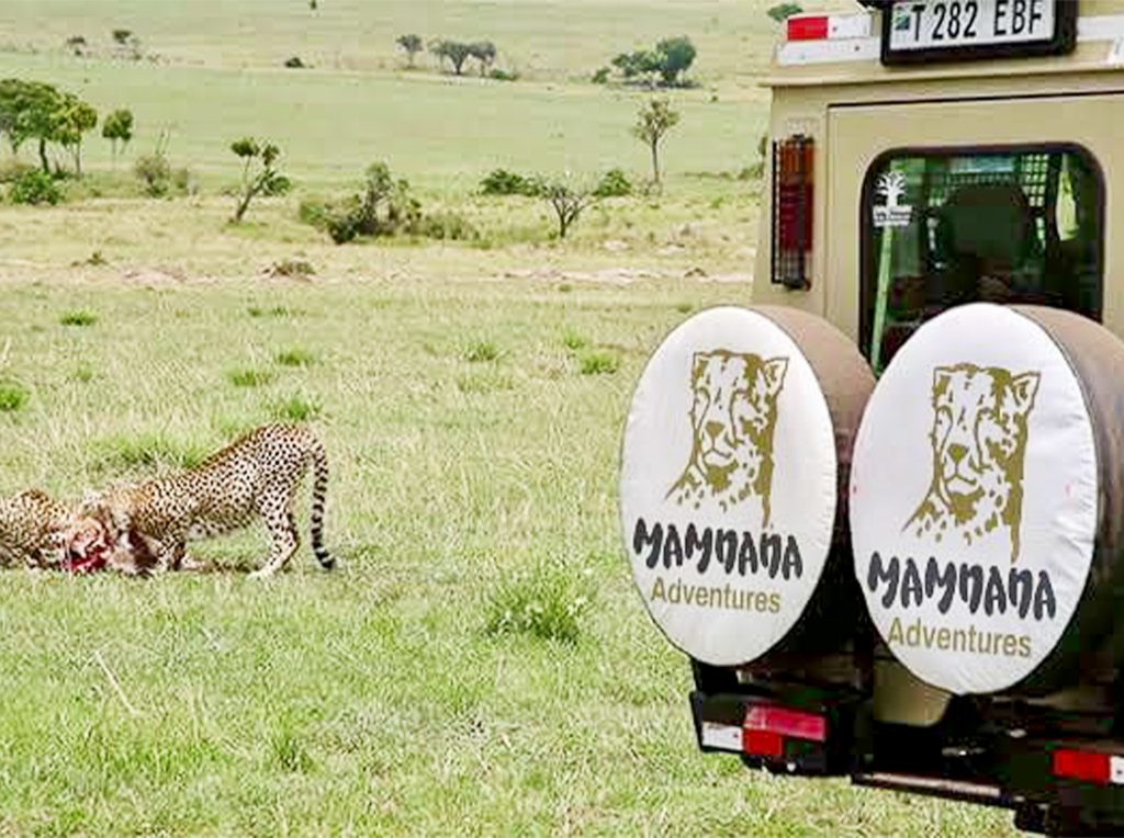 Safari Jeep Near Cheeters
